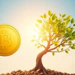 The 'Rule of 72': Quick Wealth Doubling Estimates